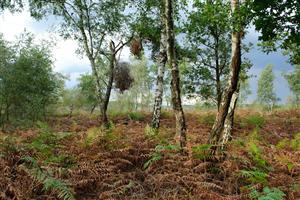 Schilderachtige landschappen langs het wandelpad