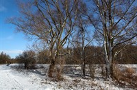 Nationaal Park De Biesbosch, Nationaal Park De Biesbosch