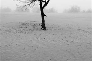 Nationaal Park Loonse en Drunense Duinen