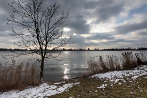 Zonsondergang Kralingen park