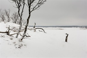 Nationaal Park Loonse en Drunense Duinen