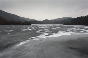 Natuurpark Eifel, Duitsland