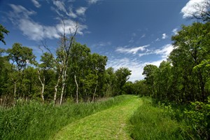 Wandelpad Naardermeer