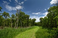 Wandelpad Naardermeer, Naardermeer