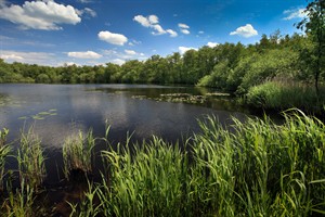 Naardermeer