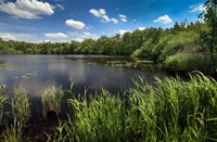 Naardermeer, Naardermeer