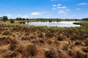 Landgoed de Hamert