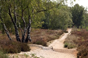 Landgoed de Hamert