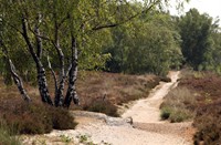 Landgoed de Hamert, Landgoed de Hamert