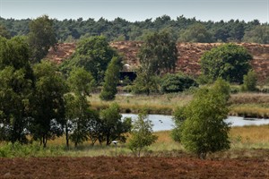 Landgoed de Hamert