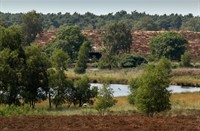 Landgoed de Hamert, Landgoed de Hamert