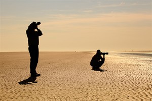 Hollandgroen fotografen in Kwade Hoek