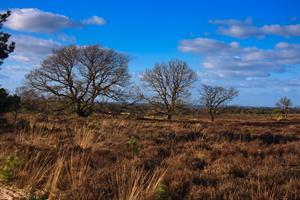 Uitzicht langs de wandelroute