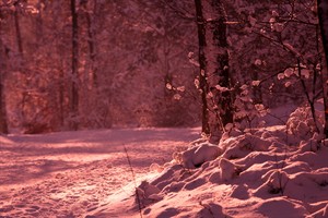 Sneeuw in Nederland