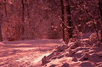 Sneeuw in Nederland