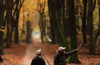 Speulderbos in de herfst