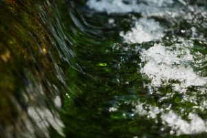 Heldere waterval in de Amterdamse Waterleidingduinen