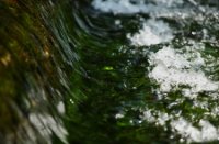 Heldere waterval in de Amterdamse Waterleidingduinen