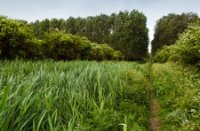 Paden van Aalkeetbuitenpolder, Aalkeetbuitenpolder