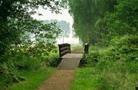 Wandelpad Loetbos, Natuurgebied Loetbos