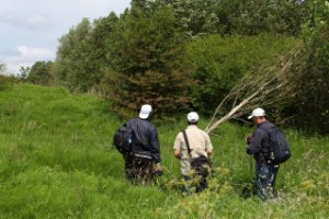 Midden Delfland Broekpolder