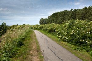 Aalkeetbuitenpolder