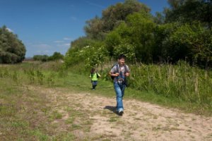 Nationaal Park De Biesbosch