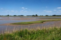 Nationaal Park De Biesbosch, Nationaal Park De Biesbosch