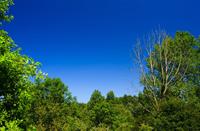 A'dam Waterleidingduinen