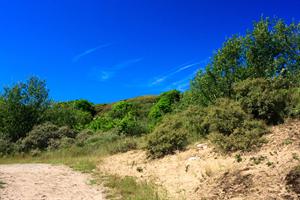 A'dam Waterleidingduinen