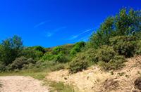 A'dam Waterleidingduinen