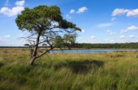 Nationaal Park Grenspark De Zoom - Kalmthoutse Heide, Nationaal Park Grenspark De Zoom - Kalmthoutse Heide