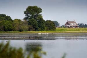 Nationaal Park De Biesbosch