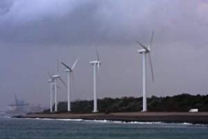 Maasvlakte