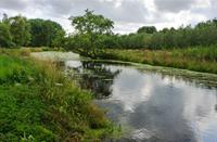 Loetbos, Natuurgebied Loetbos