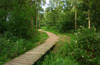 Loetbos, Natuurgebied Loetbos