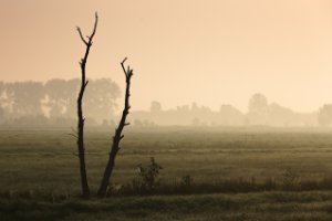 Weiland naast De Zouweboezem