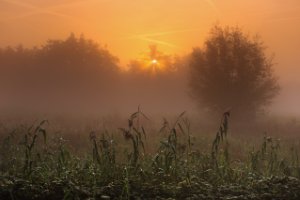 Zonsopgang naast De Zouweboezem in een polder