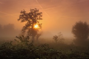 Polders langs De Zouweboezem