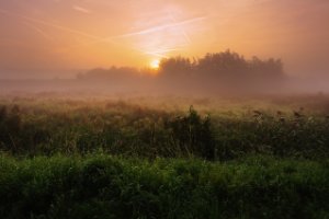 Polders langs De Zouweboezem