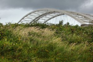 Eiland van Brienenoord