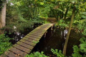 Route slingert door de Ackerdijkse plassen