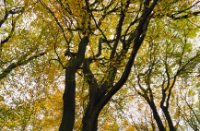 Boswachterij Speulderbos en Sprielderbos