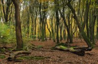 Boswachterij Speulderbos en Sprielderbos, Boswachterij Speulderbos en Sprielderbo