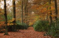 Gorp de Leij - Abcoven, Gorp de Leij - Abcoven