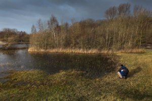 Waterbos, Duinen van Voorne