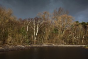 Waterbos, Duinen van Voorne