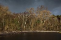 Waterbos, Duinen van Voorne, Duinen van Voorne