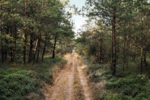 Nationaal Park Veluwezoom