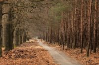 Nationaal Park Veluwezoom